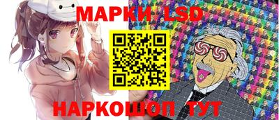гидра Будённовск