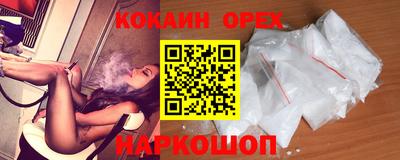 гидра Будённовск