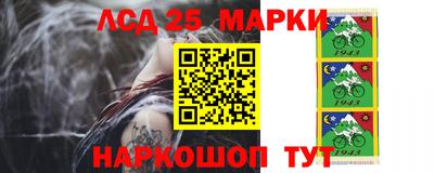 гидра Будённовск