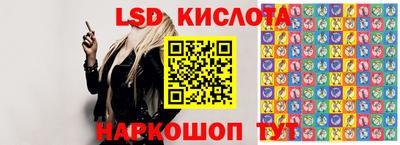 гидра Будённовск