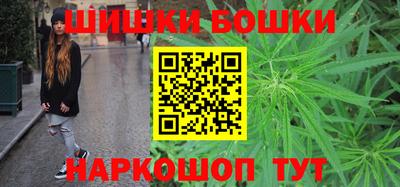 гидра Будённовск