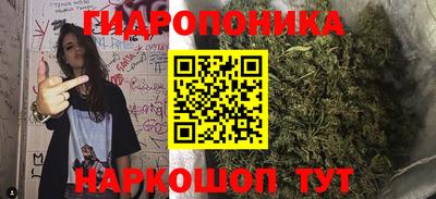 гидра Будённовск